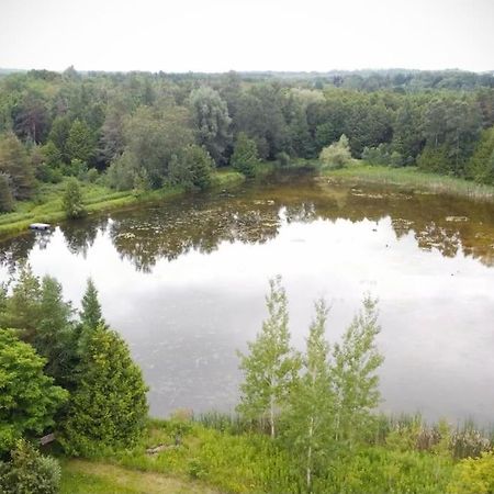 Cottage Retreat On 11 Acres Flesherton Eksteriør bilde