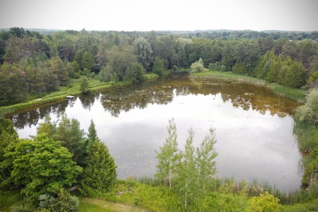 Cottage Retreat On 11 Acres Flesherton Eksteriør bilde